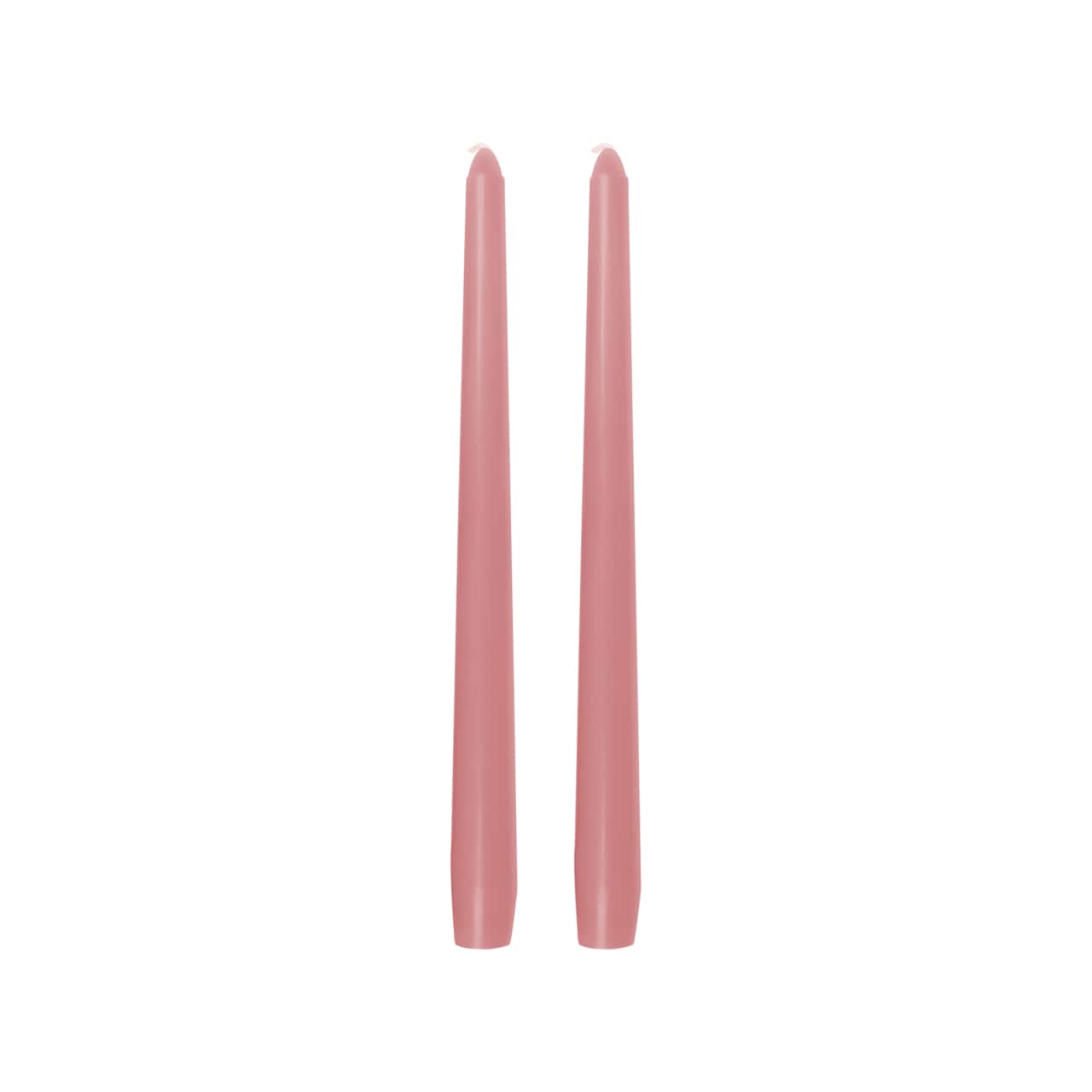 10" Unscented Taper Candles, 2ct. by Ashland®